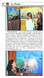 Monique Harbers - Curacao Maritime Museum